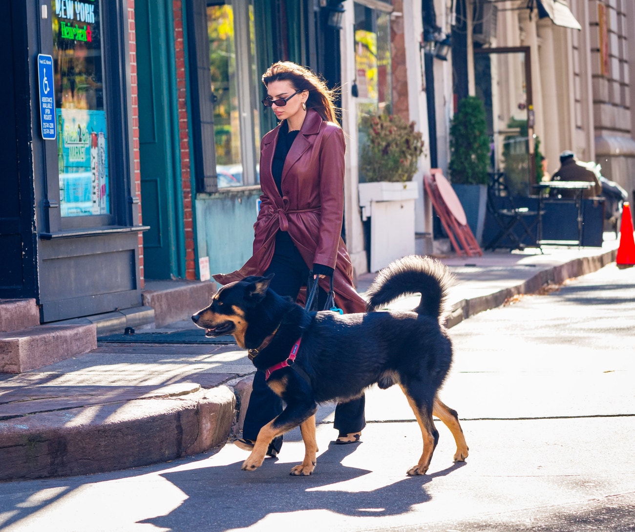 Emily Ratajkowski na procházce s pejskem, New York